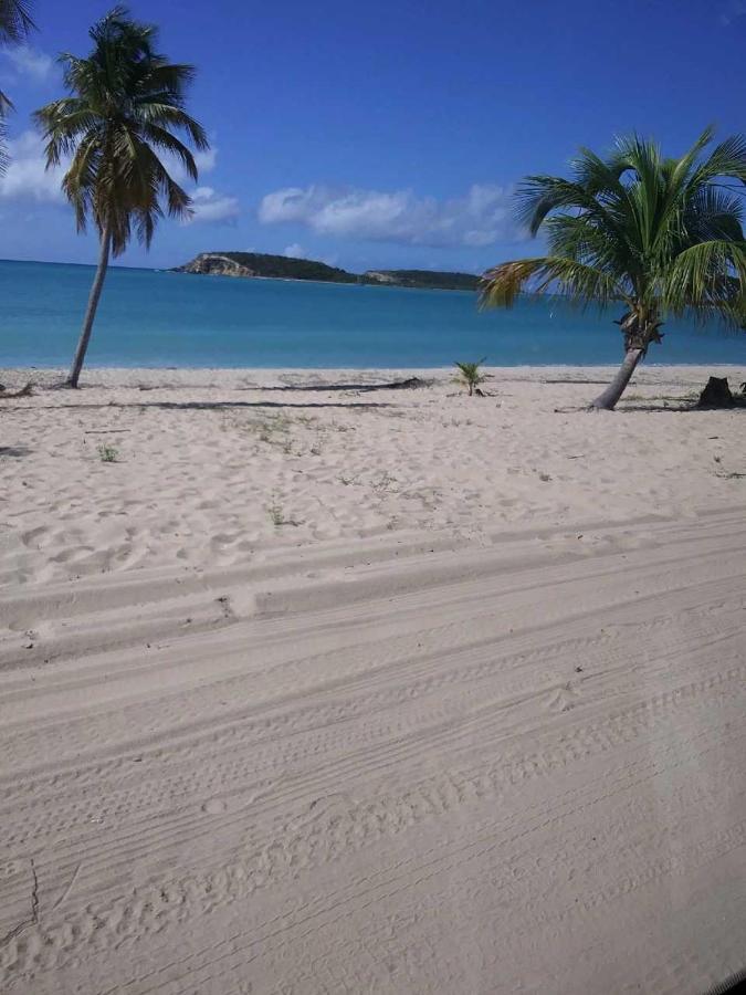 Crab Island Adventures Apartments Vieques Luaran gambar