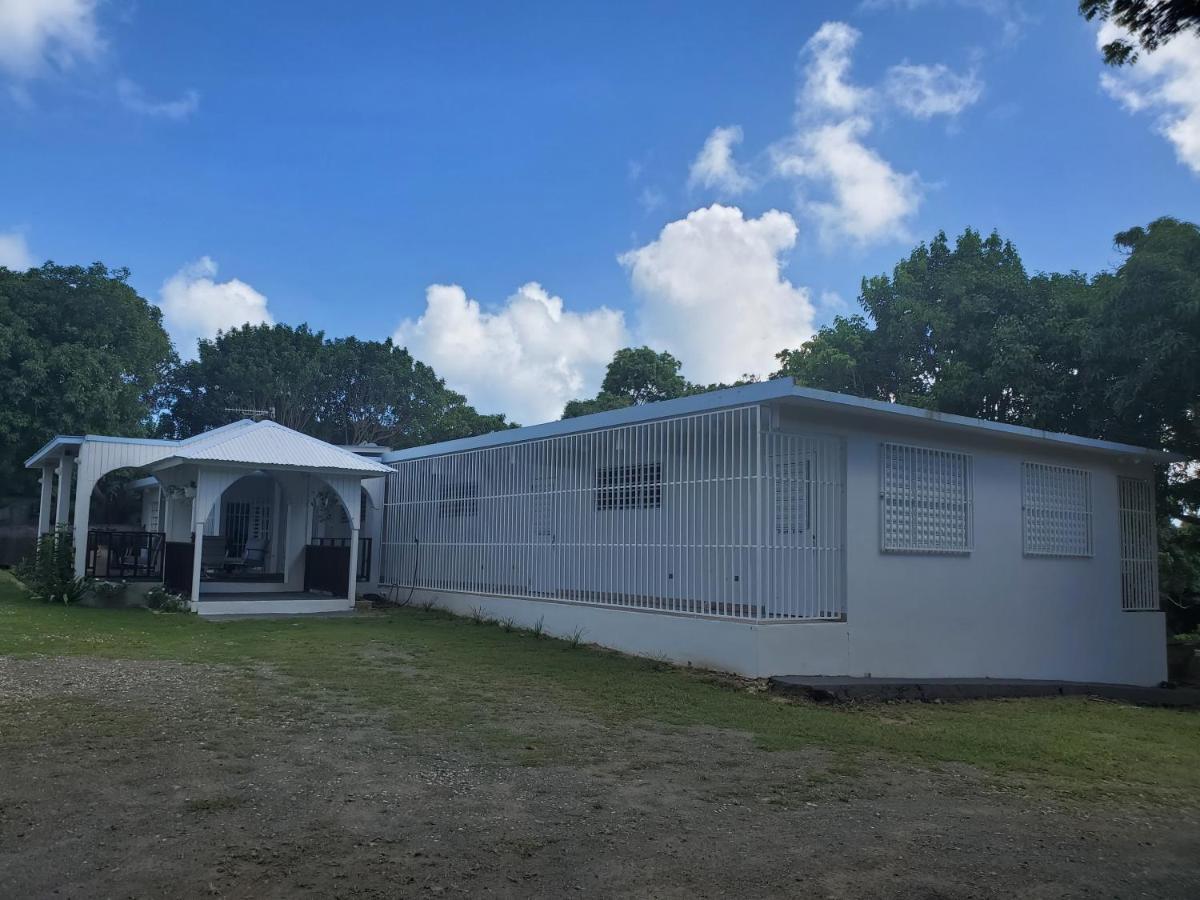 Crab Island Adventures Apartments Vieques Luaran gambar