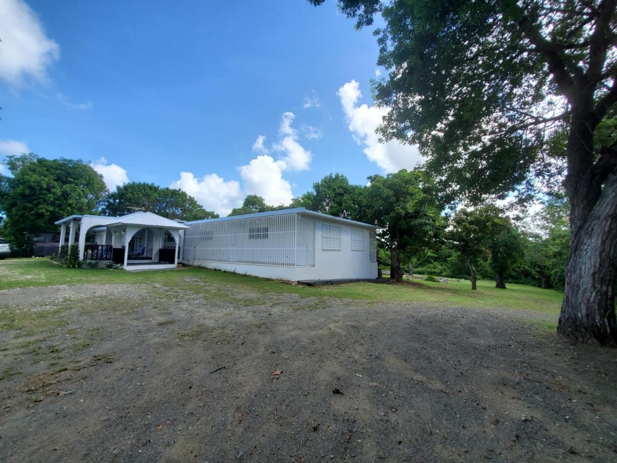 Crab Island Adventures Apartments Vieques Luaran gambar